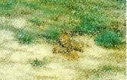 bruno liljefors rapphons oil painting